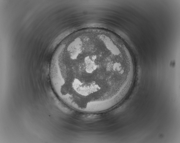 X0000113850841200910151210