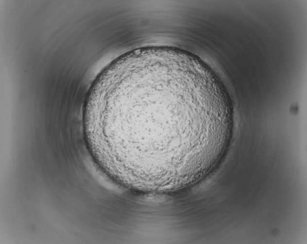 X0000113850842200910151210