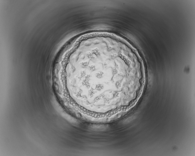 X0000113850843200910151210