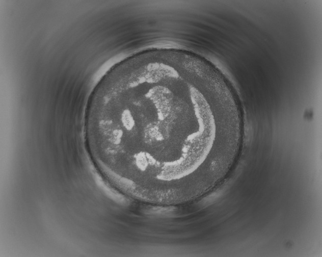 X0000113850845200910151210