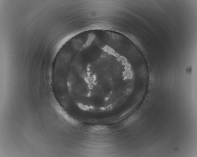 X0000113850846200910151210