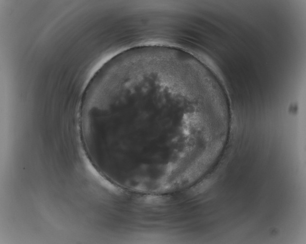 X0000113850847200910151210