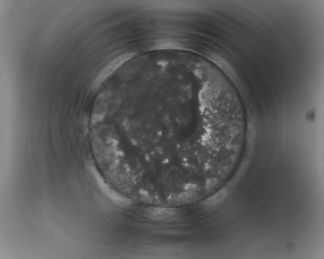 X0000113850849200910151210