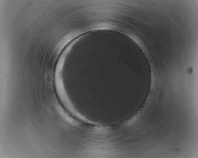 X0000113850850200910151210