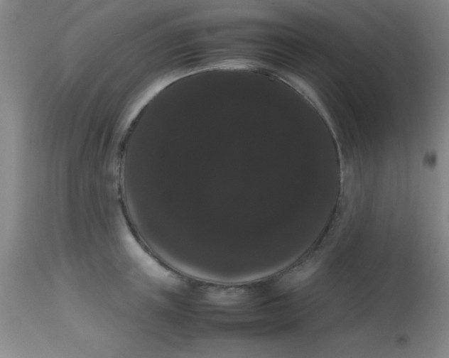 X0000113850851200910151210