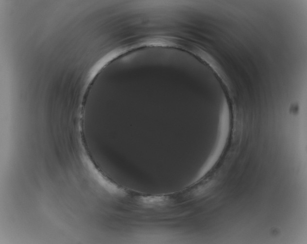 X0000113850853200910151210