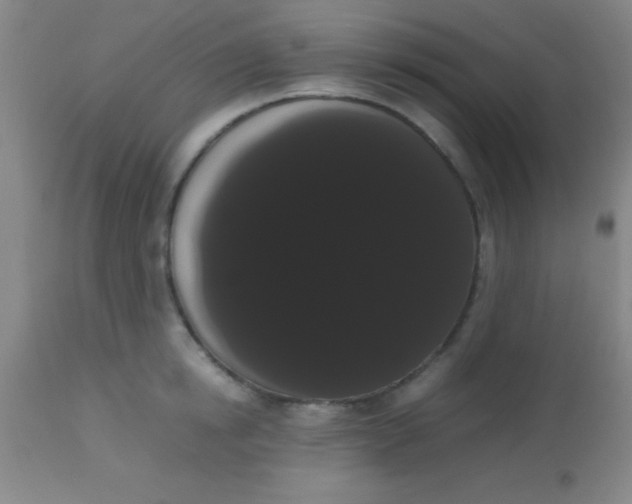 X0000113850854200910151210