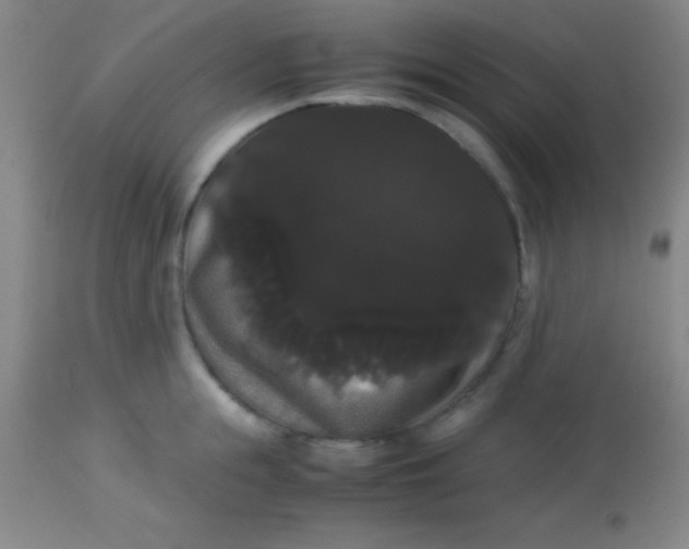 X0000113850855200910151210