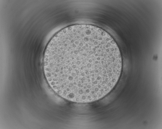 X0000113850856200910151210