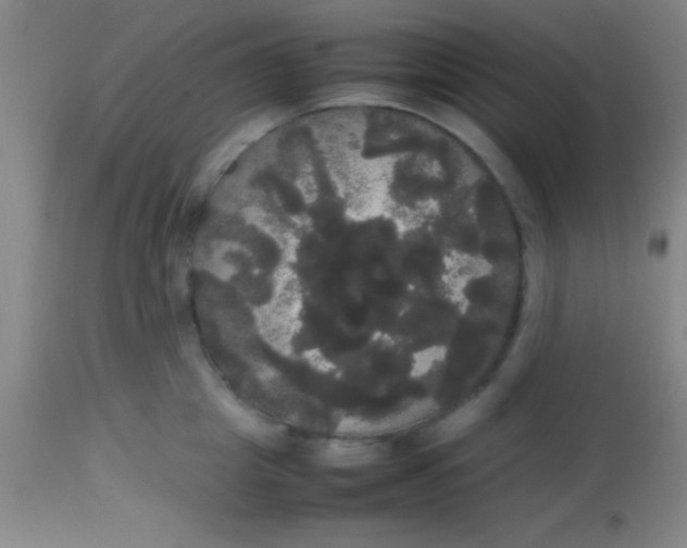 X0000113850857200910151210