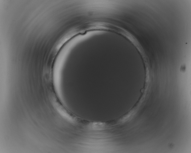 X0000113850858200910151210