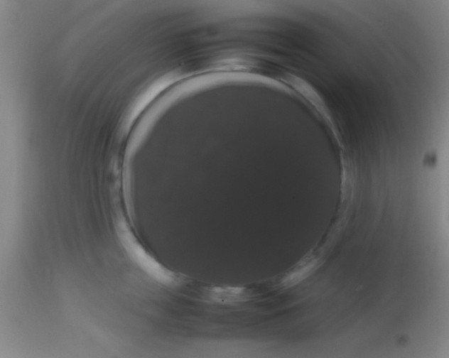 X0000113850859200910151210