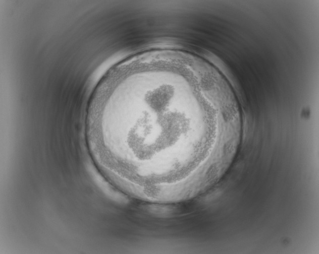 X0000113850861200910151210