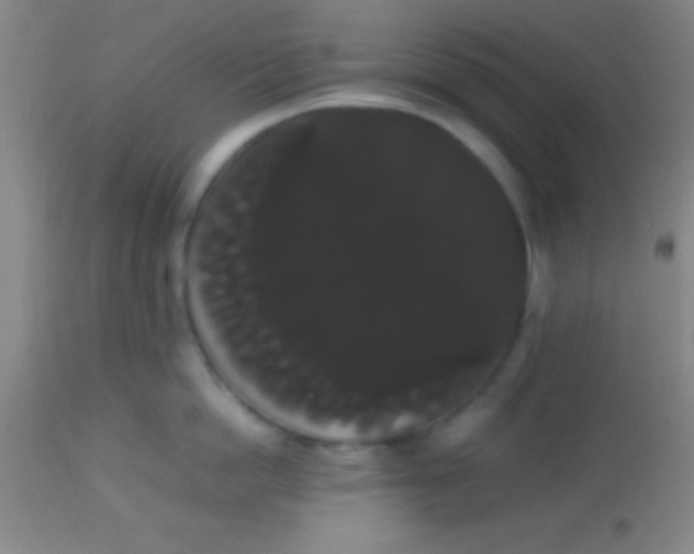 X0000113850862200910151210