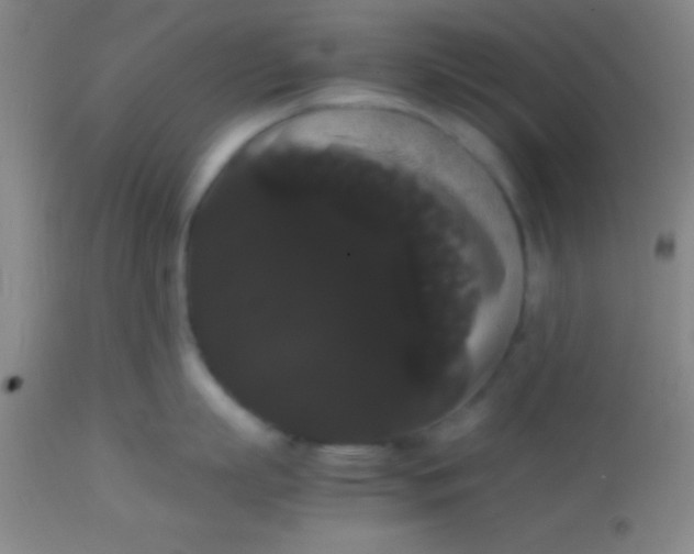 X0000113850863200910151210