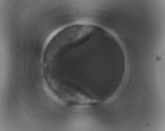 X0000113850864200910151210