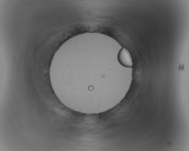 X0000113850865200910151209