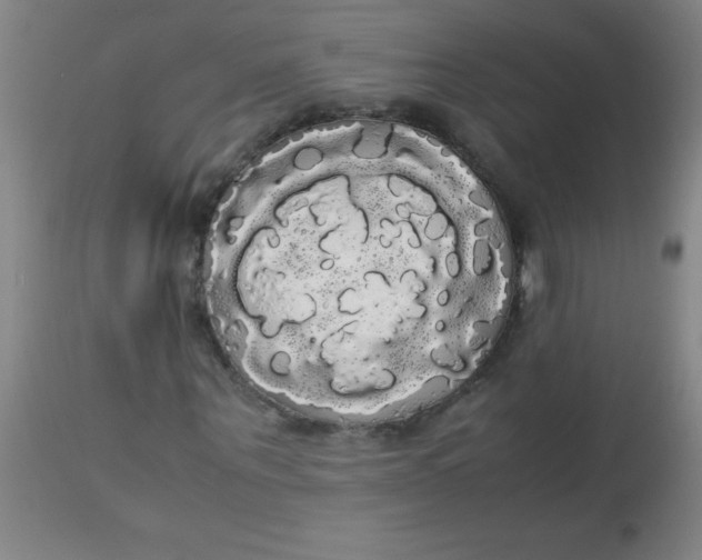 X0000113850867200910151209