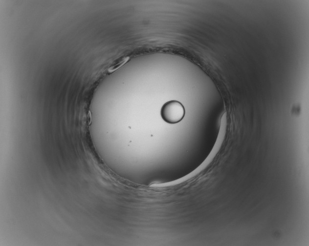 X0000113850868200910151209