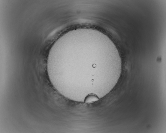 X0000113850869200910151209