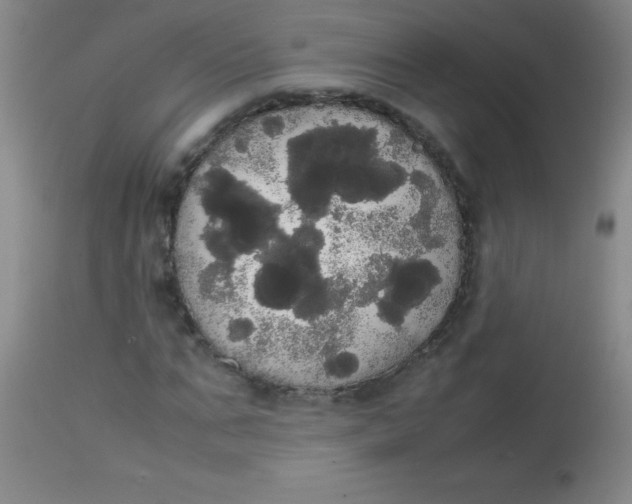 X0000113850871200910151209