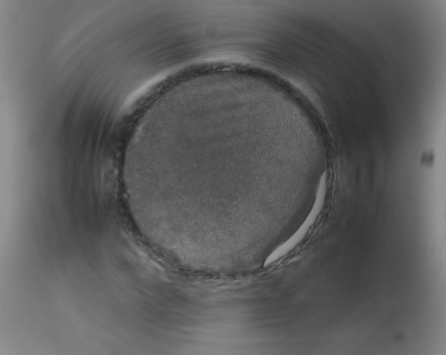 X0000113850872200910151209