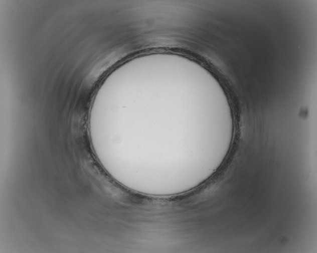 X0000113850873200910151209