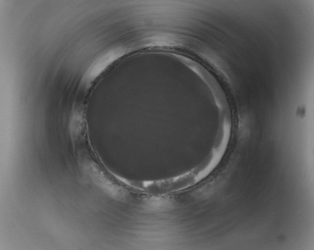 X0000113850874200910151209