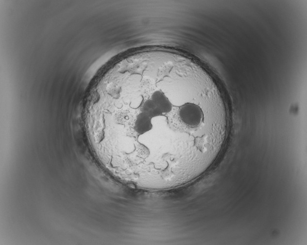 X0000113850875200910151209