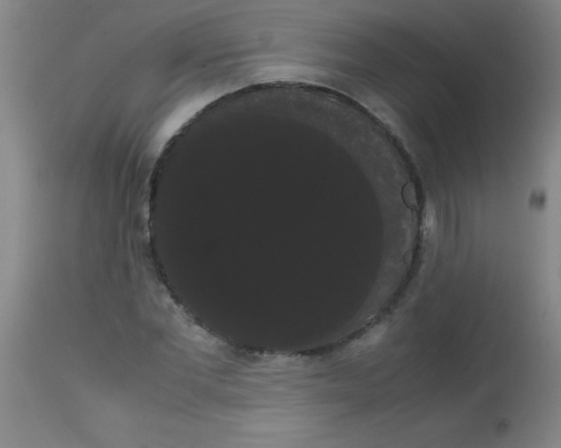 X0000113850877200910151209