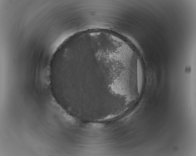 X0000113850878200910151209