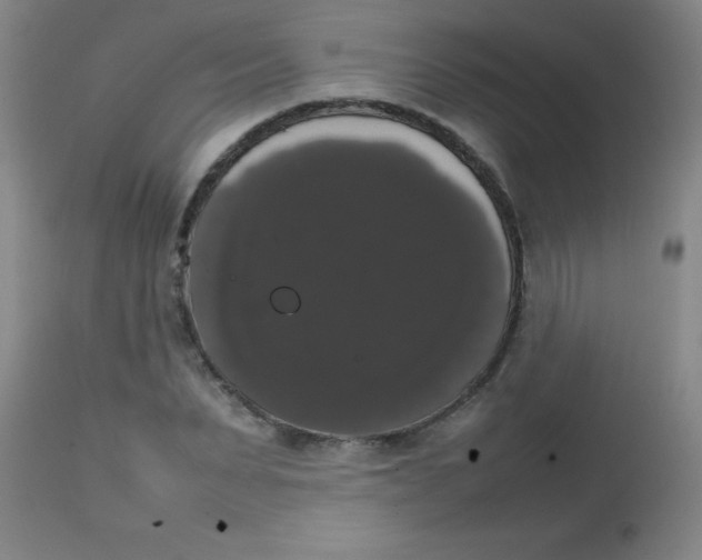 X0000113850879200910151209