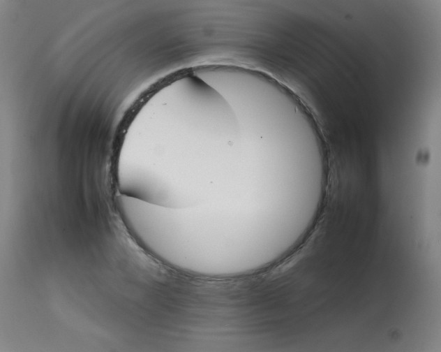 X0000113850880200910151209