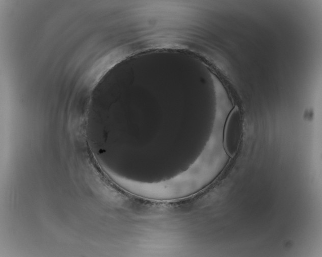 X0000113850881200910151209