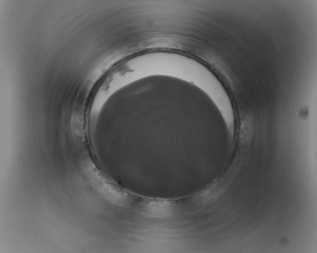 X0000113850882200910151209