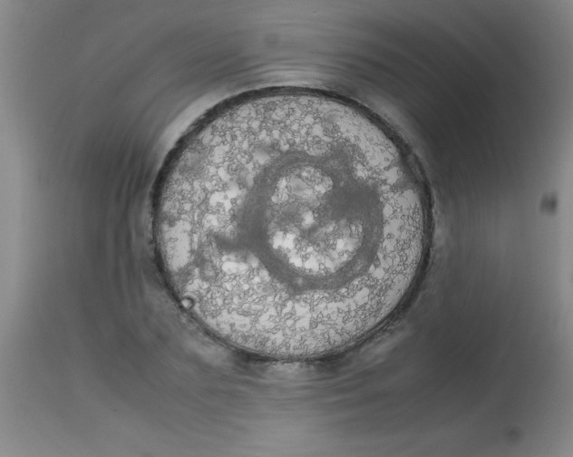 X0000113850883200910151209