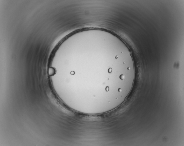 X0000113850884200910151209