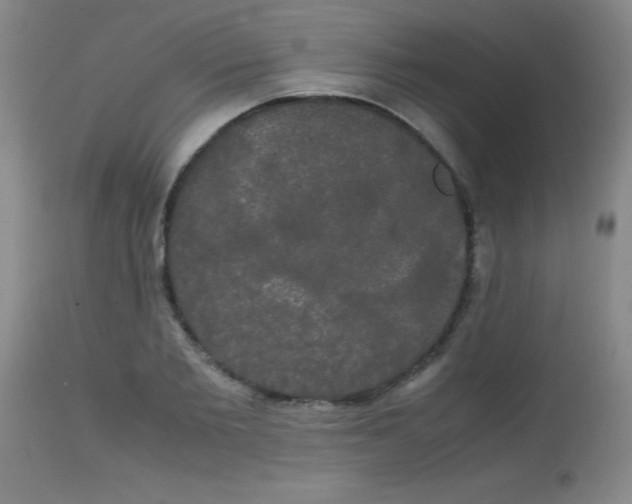 X0000113850885200910151209