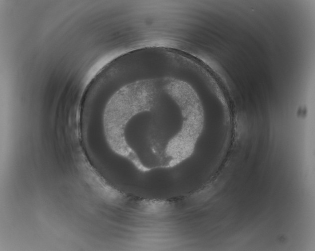 X0000113850886200910151209