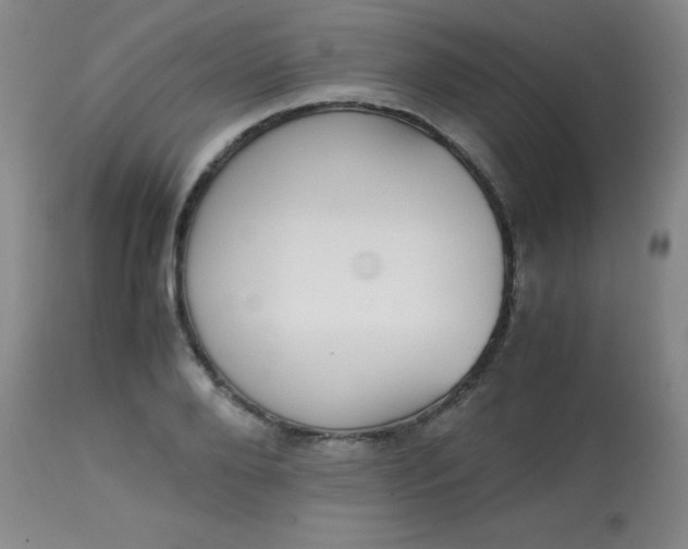 X0000113850888200910151209