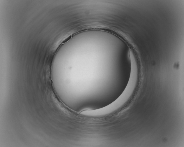 X0000113850889200910151209