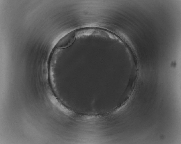 X0000113850892200910151209