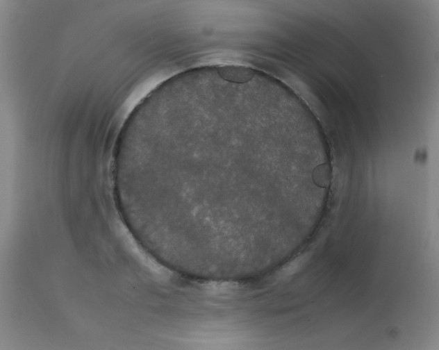 X0000113850893200910151209