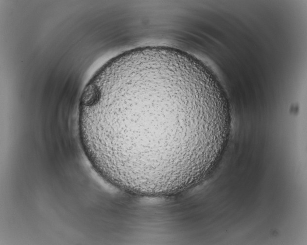 X0000113850894200910151209