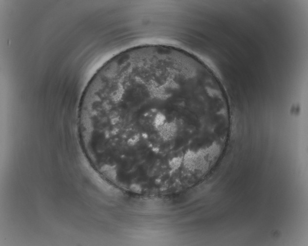 X0000113850895200910151209