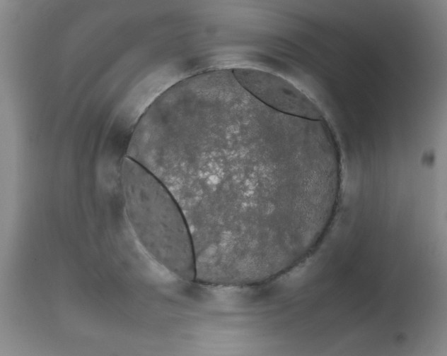 X0000113850897200910151209