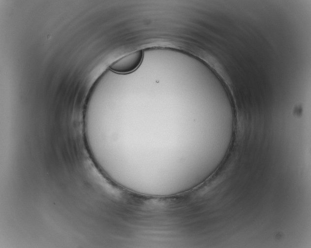 X0000113850898200910151209