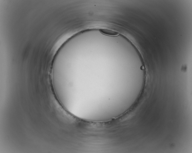 X0000113850901200910151209