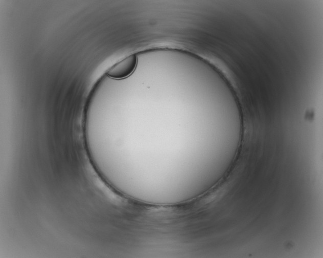 X0000113850902200910151209