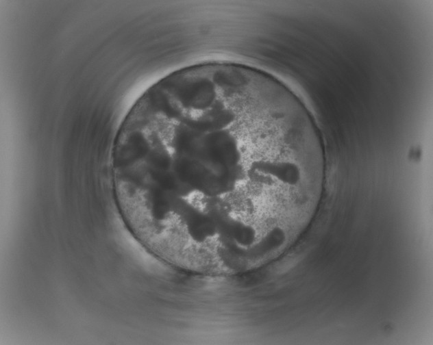 X0000113850903200910151209